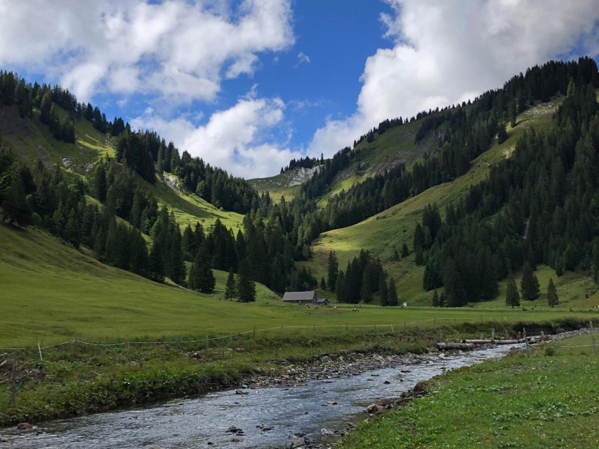 Walli Laterns - Ski Und Bergvergnuegen Direkt Vor Der Haustuer المظهر الخارجي الصورة